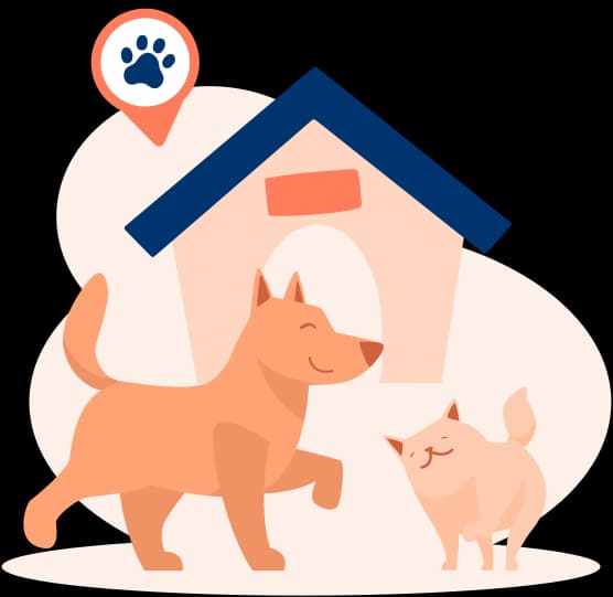Discover Pet-Friendly Places