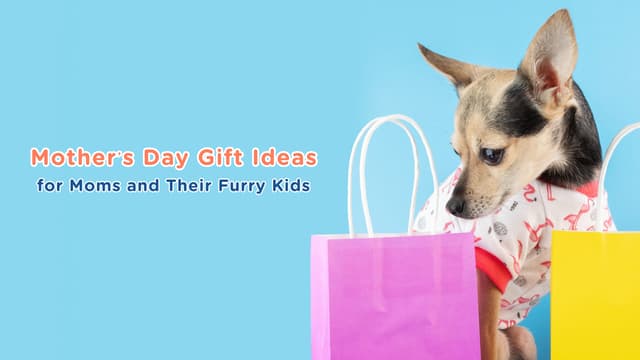 Mother’s Day Gift Ideas for Moms and Their Furry Kids 💘