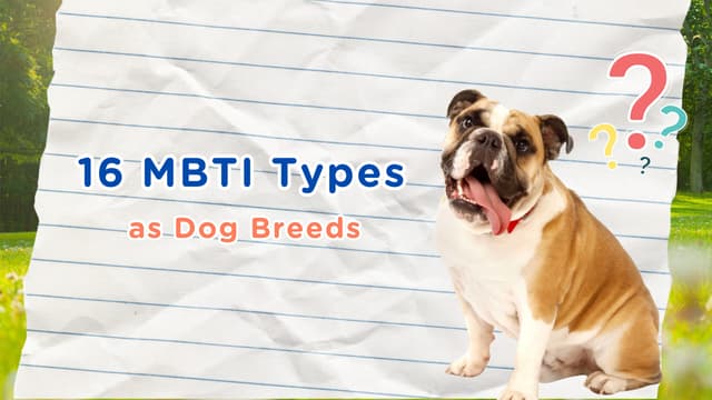 🐶 16 MBTI × 16 Dog Breeds: Which Breed Are You?