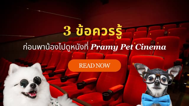 ✨ 3 ข้อควรรู้ ก่อนพาน้องไปดูหนังที่ Pramy Pet Cinema เซ็นทรัลเวสต์วิลล์✨