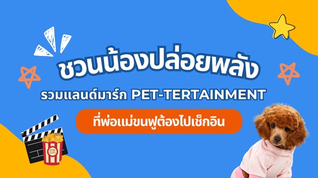ชวนน้องปล่อยพลัง! รวมแลนด์มาร์ก Pet-tertainment ที่พ่อแม่ขนฟูต้องไปเช็กอิน